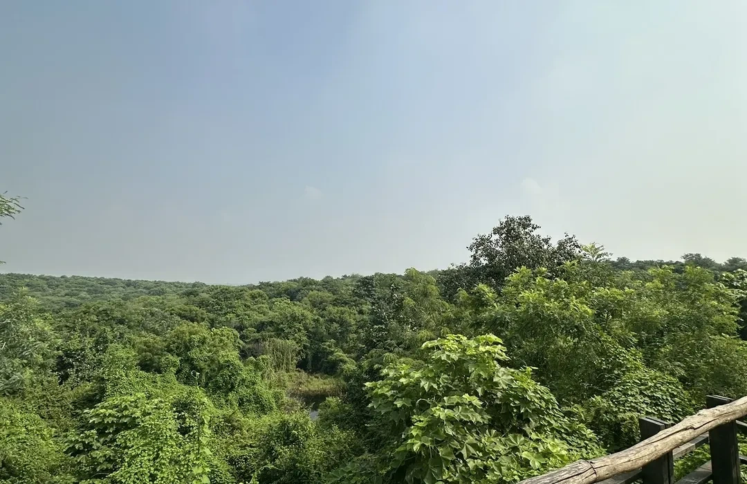 Aravali Biodiversity Park